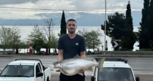 E rrallë, peshkatari në Pogradec kap koranin 13 kg në ujërat e liqenit