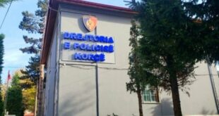 Të zhdukur prej ditësh, gjendet në Tiranë 15-vjeçarja nga Korça dhe shoku i saj